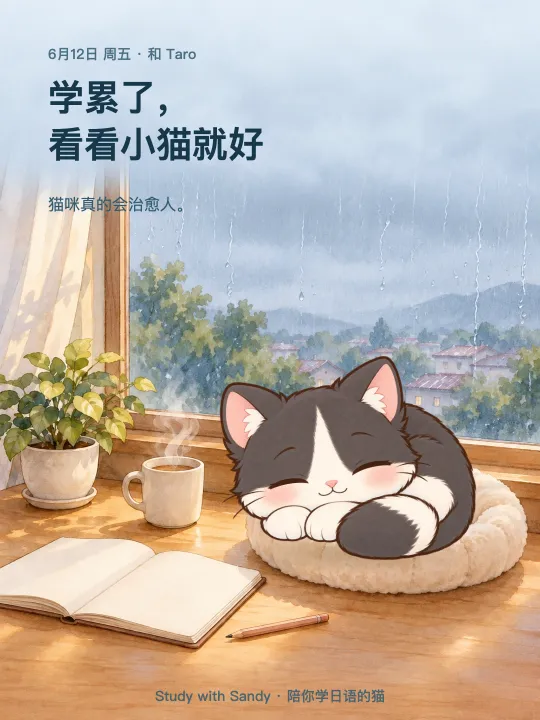 学习小卡片：下雨的午后，窗边，黑白燕尾服猫 Taro 睡着了。卡片上写着：学累了，看看小猫就好。猫咪真的会治愈人。
